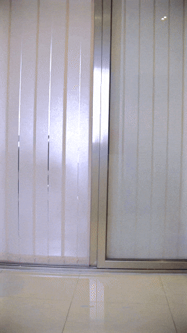 Timanarii GIF