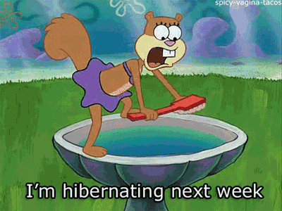 Spongebob Sandy Hibernation Meme - All About Spongebob and Friends
