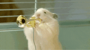 Party Band GIF