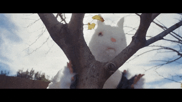 Rabbit Running GIF by Rude Records