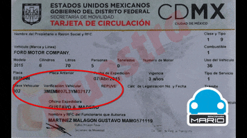 bob200099 vin niv chasis vehicle identification number GIF