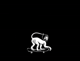 Skate Monkey GIF by Hangar Darwin