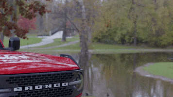 Man Reaction GIF by Ford
