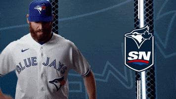 Game Over Win GIF by Sportsnet