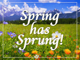 Flowers Spring GIF by Sealed With A GIF