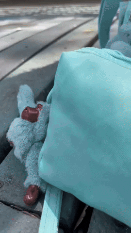 Animated GIF