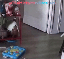 Happy Comida GIF