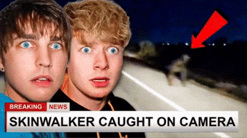 Reaction GIF