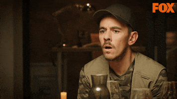 Fox GIF
