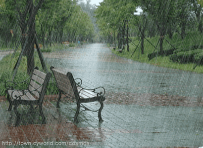  park bench rainy rainfall benches GIF