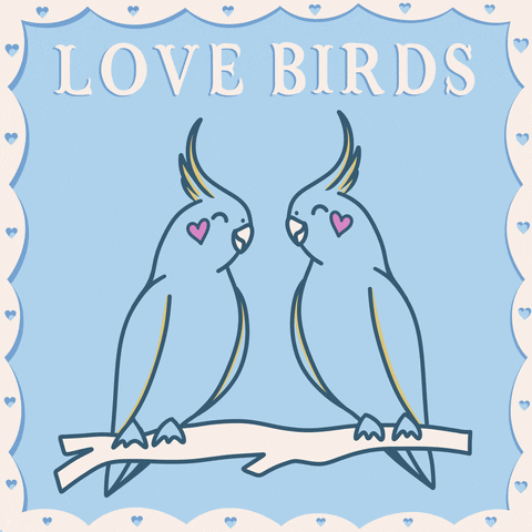 Happy In Love GIF by Jack0_o by Jack0_o