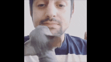 pod  GIF