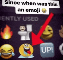 Emoji Ky GIF