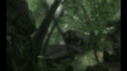 battlefield 1