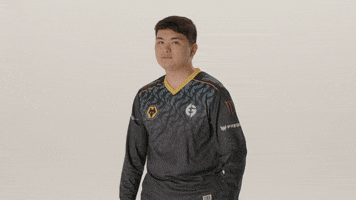 Bow And Arrow Win GIF by Evil Geniuses