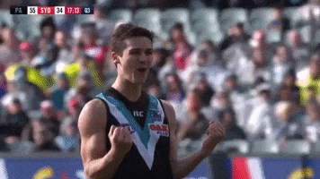 High Five Celebration GIF by Port Adelaide FC