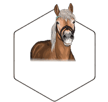 Tymeqns Sticker by Equinns