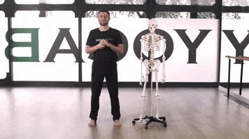 200.gif?cid=fc005b086f7488d7039395041bad93b55c6ebf387a94006c&rid=200.gif&ct=g