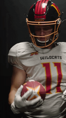 Football Xfl GIF by Los Angeles Wildcats