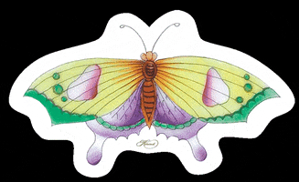 The Antiques & Garden Show GIF