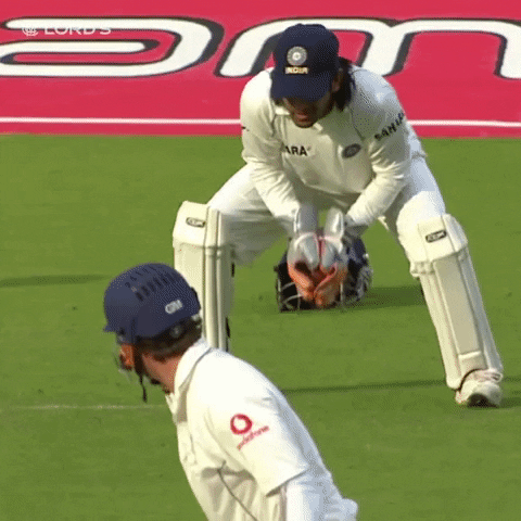 Happy London GIF by Lord's Cricket Ground - Find & Share on GIPHY