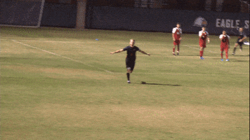 Cnms19 GIF by Carson-Newman Athletics
