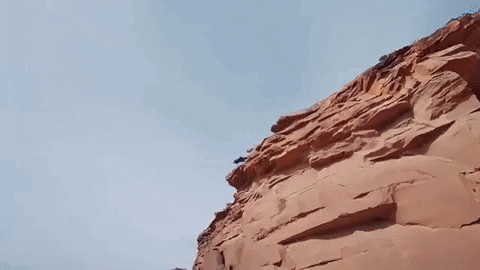 Animated GIF - Find & Share on GIPHY