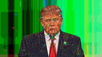 Dance Trump GIF by systaime