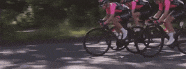 pushingdreamsnl racing cycling fast valkenburg GIF