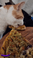 Pizza Crust GIF by STAGEWOLF