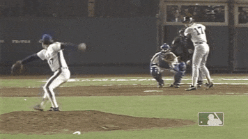 World Series Win GIF by New York Mets