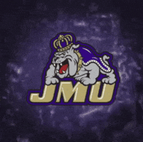 purple storm logo GIF by JMUDukes