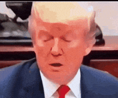 Donald Trump GIF