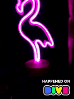 Twitch Flamingo GIF by Dive