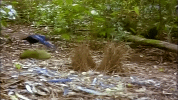 Lemme Smash GIF