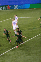 Celebrate Major League Soccer GIF by Timbers