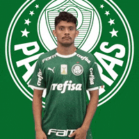Palmeiras futebol grande futebol parabéns GIF