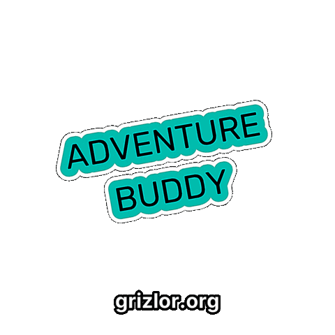 Fun Bear Sticker by grizlor