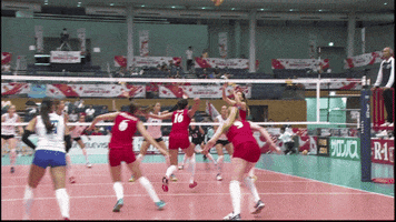 Point Energy GIF by Volleyball World