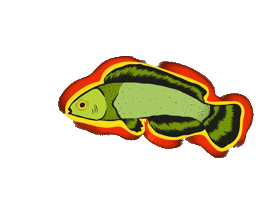 Animated Sticker