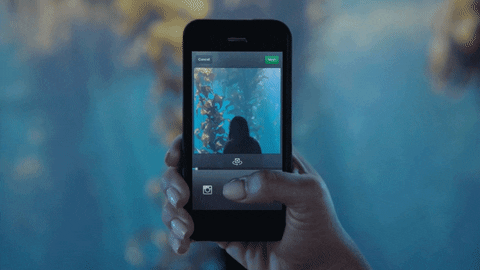 Instagram GIFs Get The Best GIF On GIPHY
