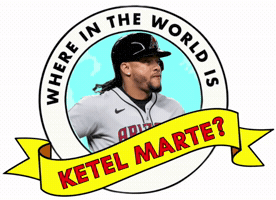 Arizona Diamondbacks GIF