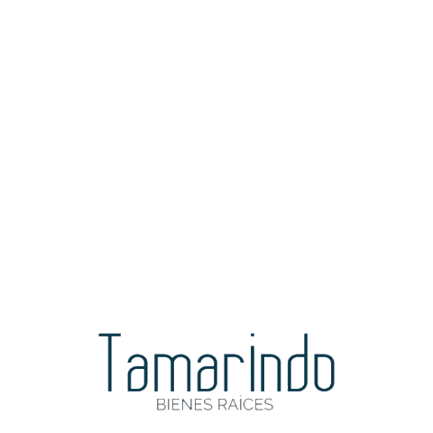 Tamarindo Real Estate Sticker by Tamarindo Bienes Raíces