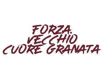 Torino FC Sticker