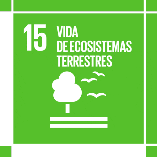 Ods Act4Sdg GIF by MY World Mexico