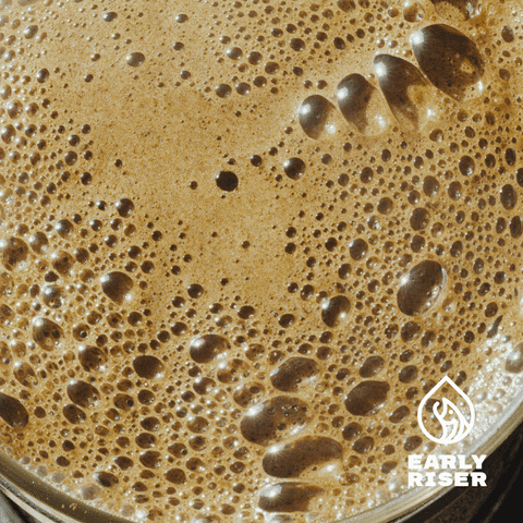 Early Riser Coffee GIF