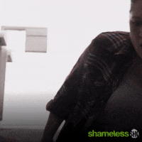 Episode 5 Showtime GIF by Shameless