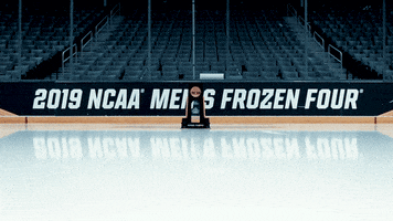 ncaasports hockey college ncaa ice GIF