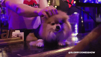 Pet Dog GIF by Hop To It Productions