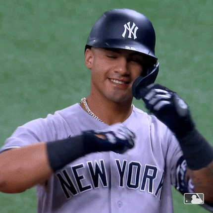 Happy New York GIF by New York Yankees